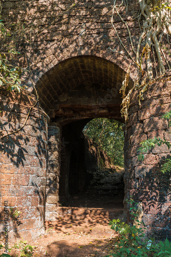 Fototapeta Naklejka Na Ścianę i Meble -  walls of an old fort in the jungle, India