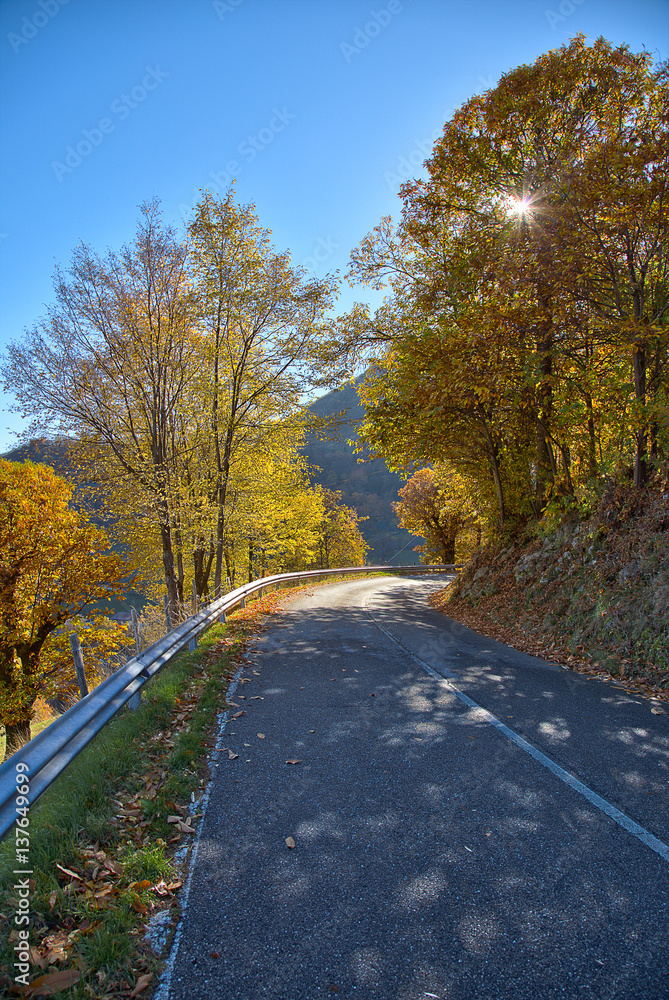 Fototapeta premium Hill's road in Italy