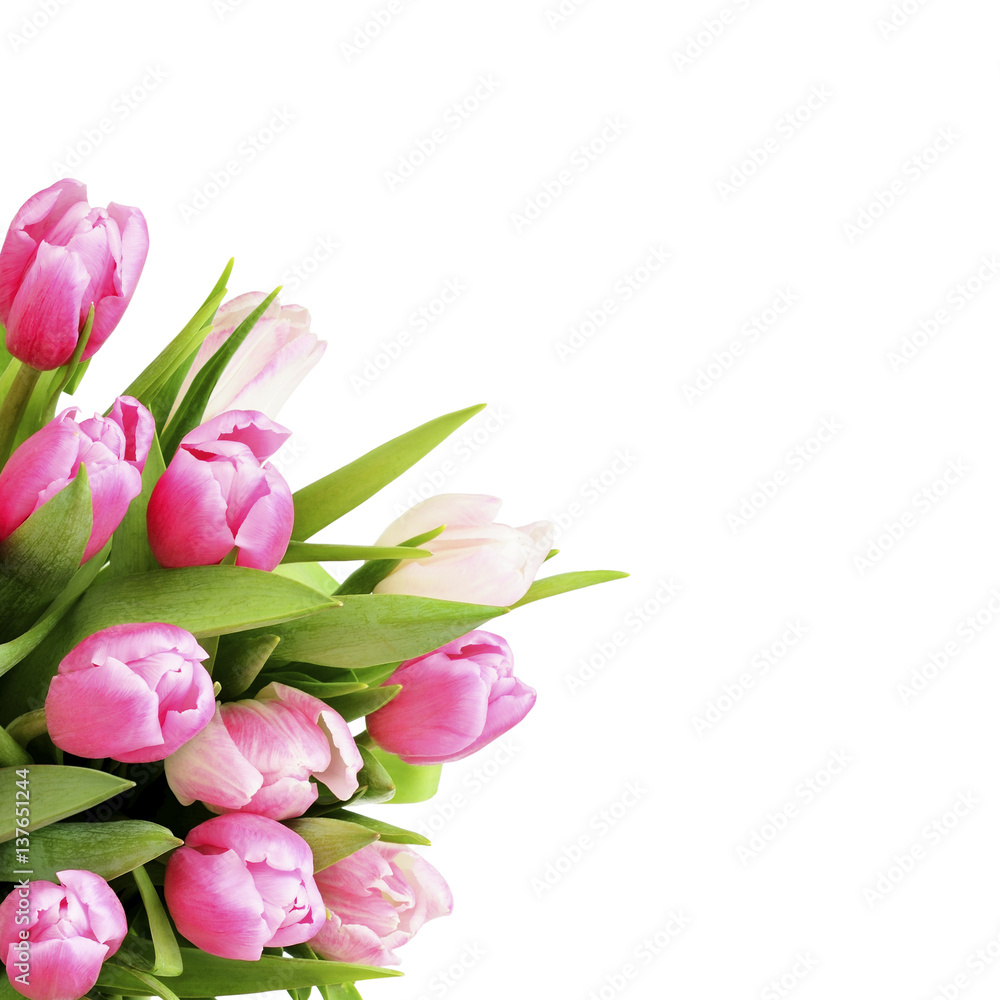 Pink tulip flowers bouquet in a corner Pink tulip flowers bouquet in a corner