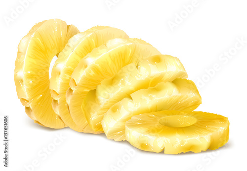 Pineapple vector illustration