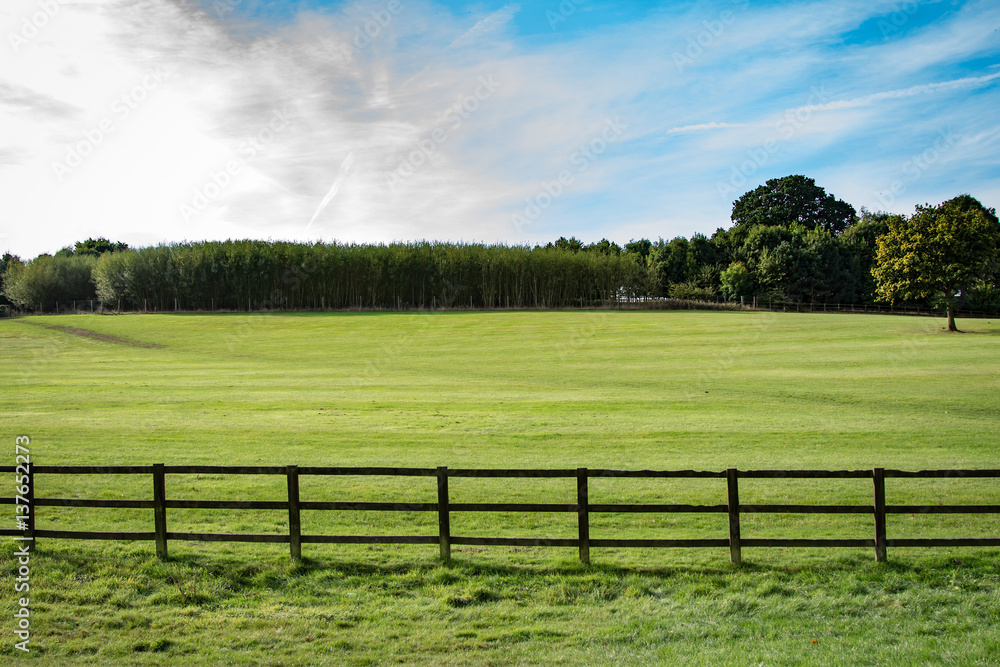 Landscape In United Kingdom