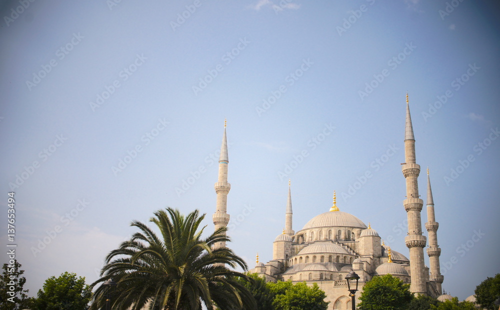 Fototapeta premium トルコのブルーモスク(Sultanahmet mosque, Turkey)