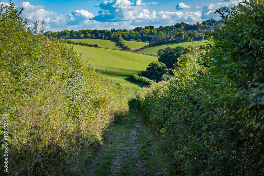 Obraz premium Landscape In United Kingdom