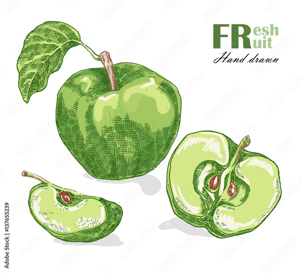 Doodle Freehand Sketch Drawing Of Apple Fruit Stock Illustration - Download  Image Now - Apple - Fruit, Art, Concepts - iStock