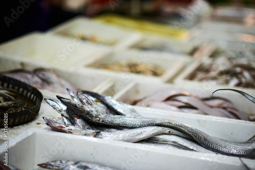 Photography Eel for sale at wet market in Shanghai, China