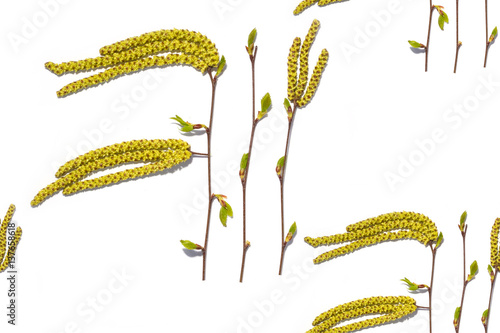 pattern bloom buds of birch