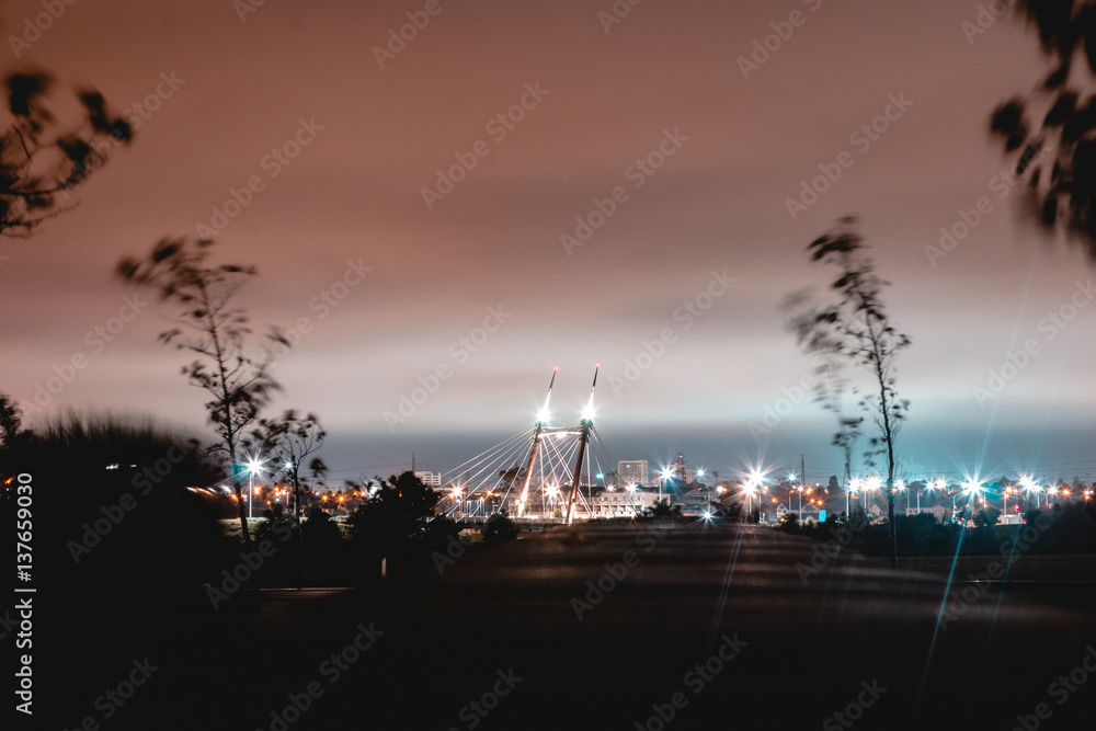 Fototapeta premium The Ormiston/Flat Bush Bridge