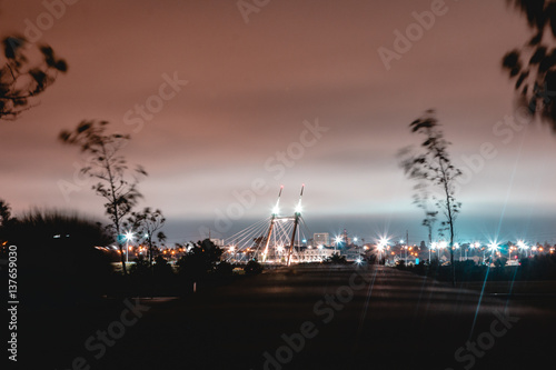 The Ormiston/Flat Bush Bridge photo