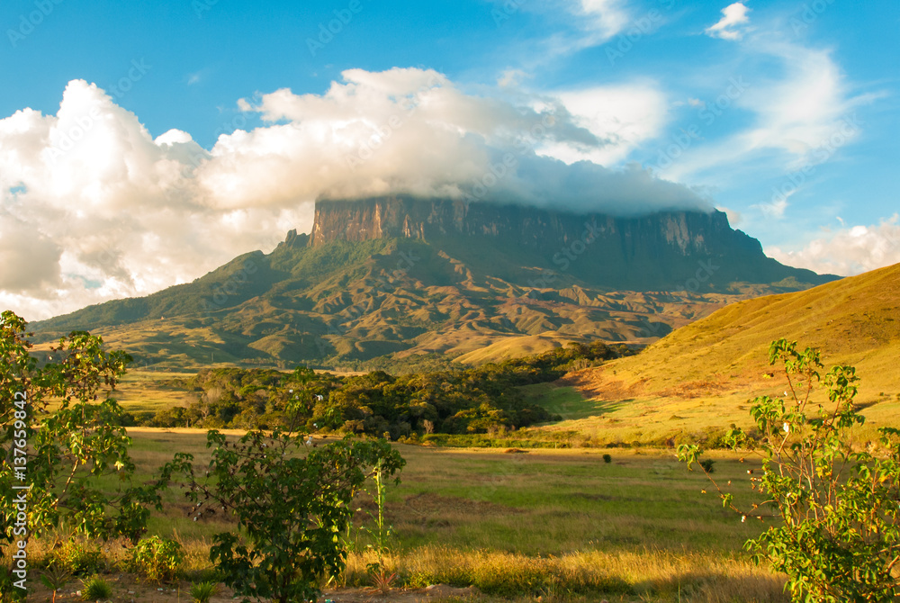 Tepui gran store