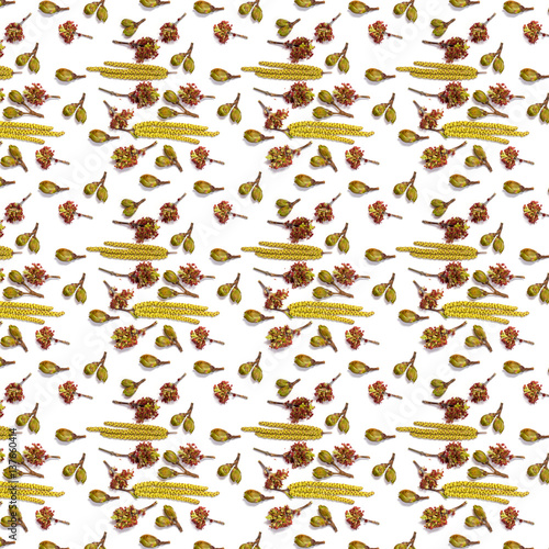 bloom buds of birch and maple