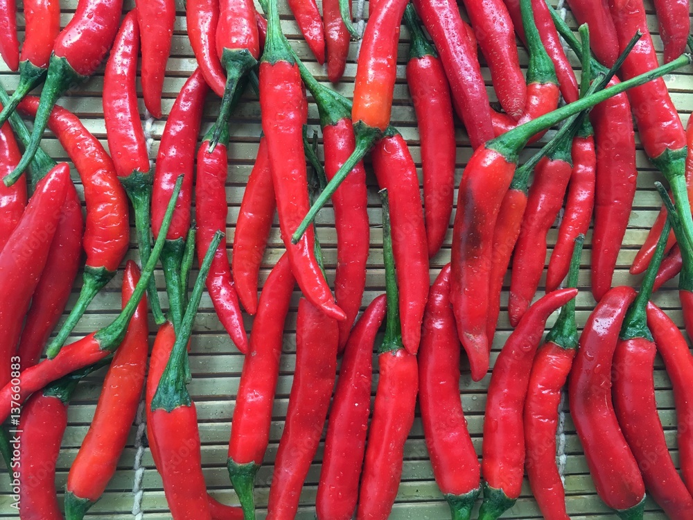 Closeup of red chili peppers. Background of hot chili peppers.