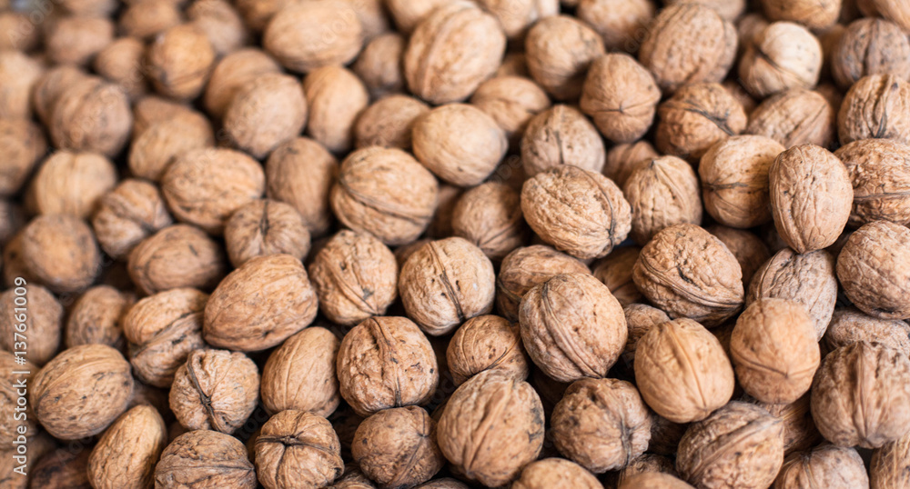 Walnuts in shell Walnuts in shell
