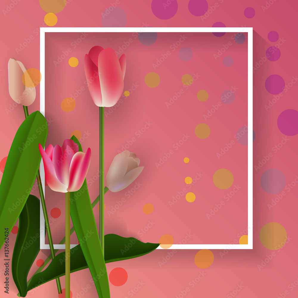 Obraz premium Tulip Flower Frame background