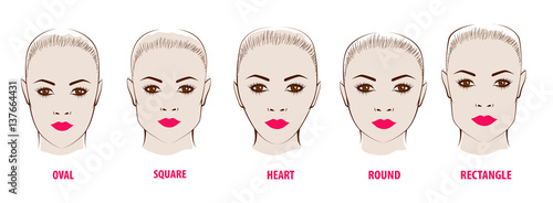 Forms of a female face.