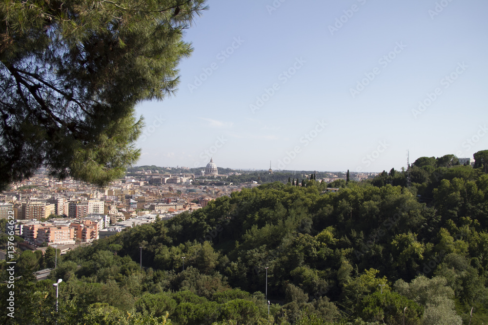 view of rome behind the trees