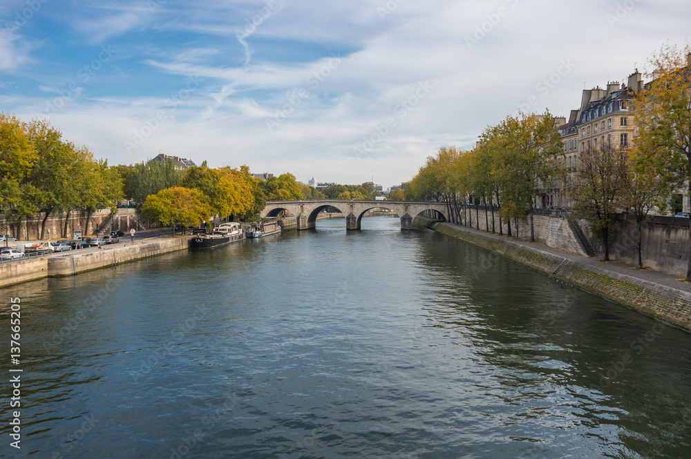 Naklejka premium The river Seine in Paris