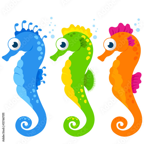 Colorful seahorses set. Vector illustration