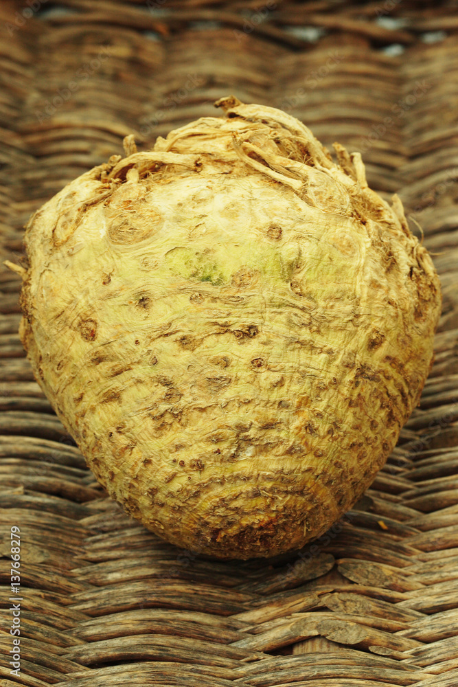 Fototapeta premium Raw Celery Root