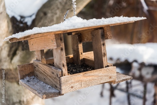 Wooden bird feeder with sunflower seeds in winter