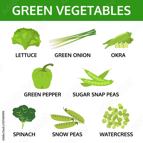green vegetable collection, info graphic food vector illustration