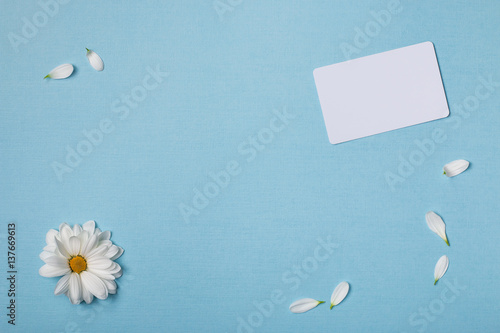 Spring top view composition:  business / credit / visiting card mockup, scattered petals around, white flower with yellow heart. Sky blue background with copy space for text. Flat lay.