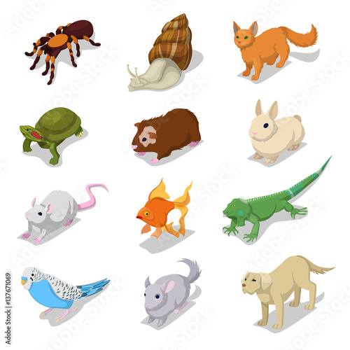 Isometric Domestic Animals Pets with Cat, Dog, Hamster and Rabbit. Vector 3d flat illustration