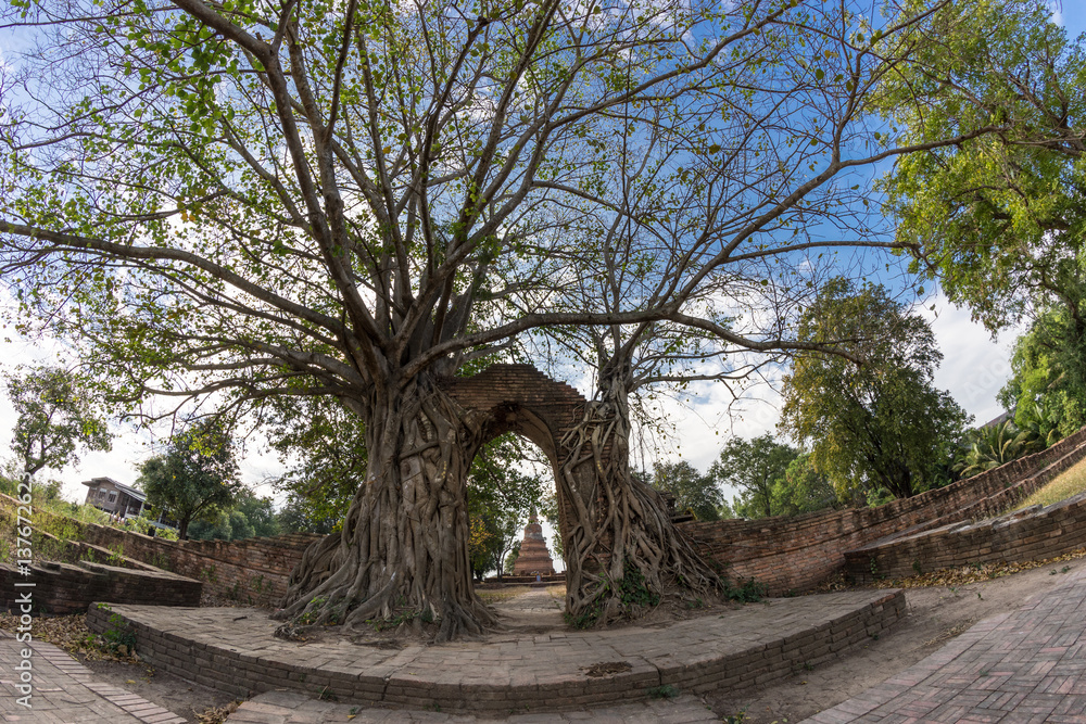 Abandon Wat Pra Ngama Ancient Place in Thailand Abandon Wat Pra Ngama Ancient Place in Thailand