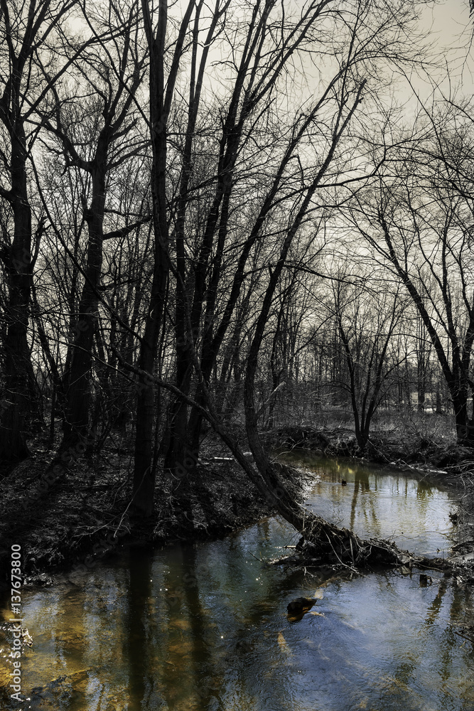 Mountain river in late autumn. Indian summer applied. Mountain river in late autumn. Indian summer applied.