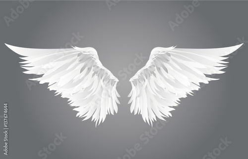 Wings. Vector illustration on grey background.