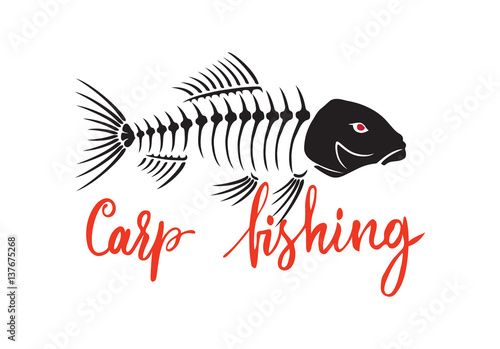 skeleton carp