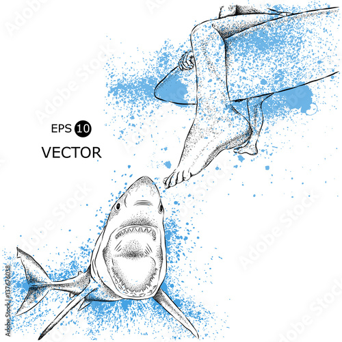 surfer on the board and shark. vector illustration.