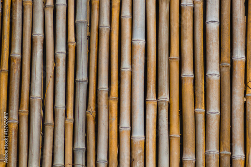 lengths of dry bamboo as background texture