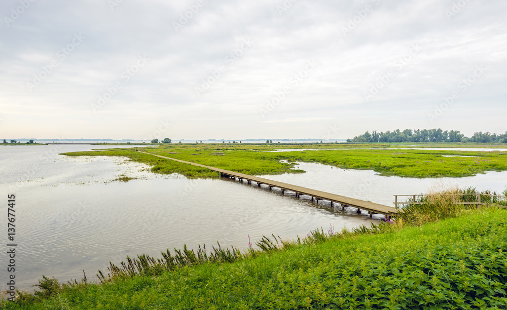 Dutch nature reserve with a long footbridge over the water Dutch nature reserve with a long footbridge over the water