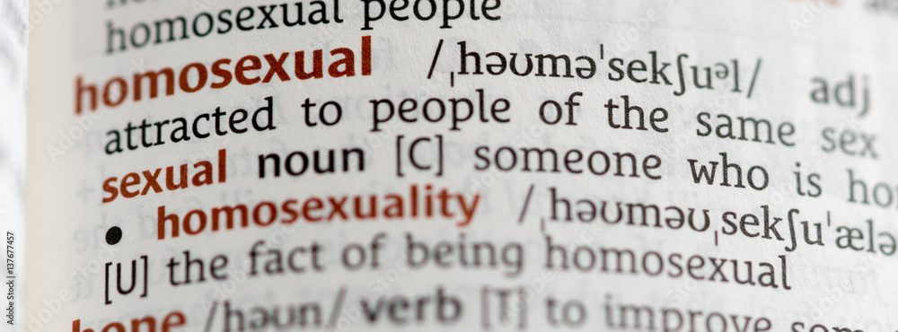 Dictionary showing the word homosexual Dictionary showing the word homosexual