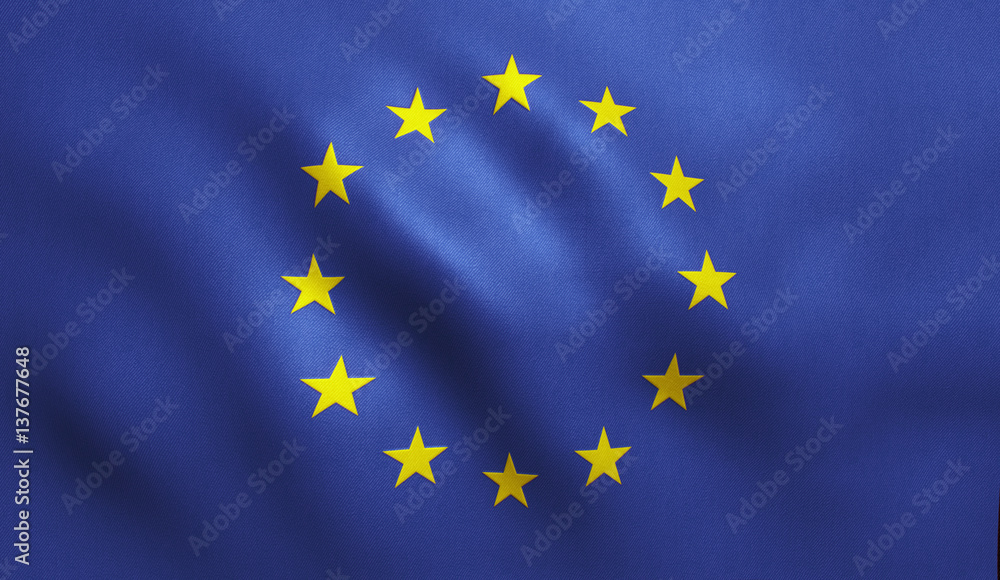 EU Flag EU Flag