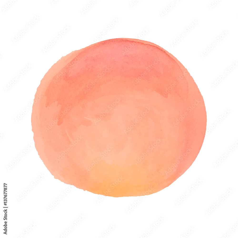 vector brush strokes circles of paint on white background. watercolor vector brush strokes circles of paint on white background. watercolor