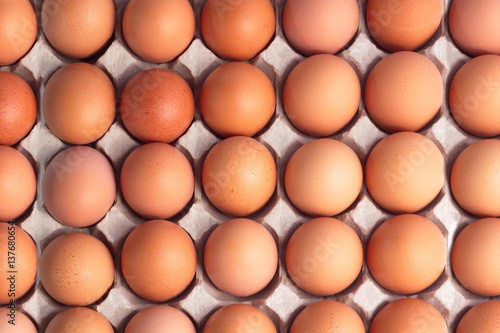Top view of brown chicken eggs for background.
