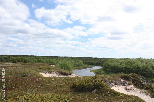 Wallpaper Mural Река в крутых берегах. Torontodigital.ca