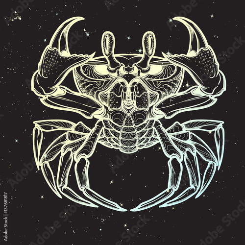 Cancer. Accurate symmetrical drawing of the beach crab on the black night sky background with stars. Concept art for tattoo  horoscope. EPS10 vector illustration