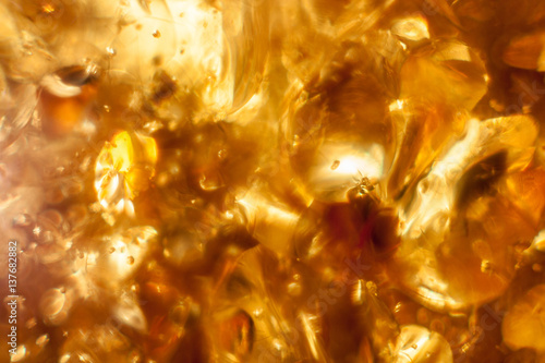 Canvas Print closeup Baltic amber stone