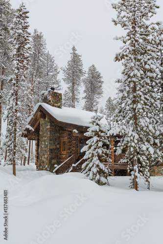 Log Cabin in the snow surrounded by Tall trees