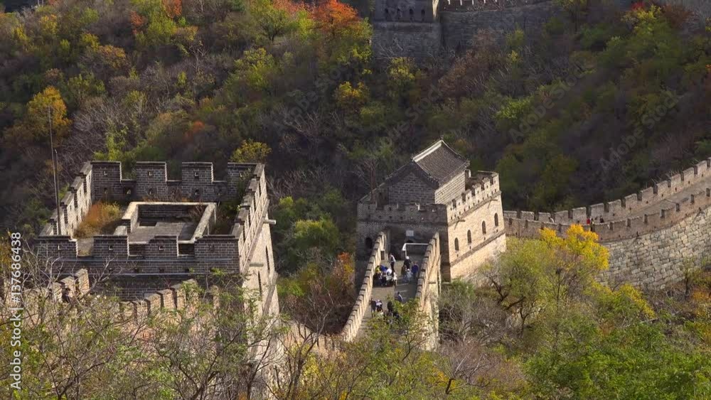 The Great Wall of China. Majestic mountain vista. Beijing Ancient historic site. Autumn orange sunset, yellow green tree. Fast panorama towers The Great Wall of China. Majestic mountain vista. Beijing Ancient historic site. Autumn orange sunset, yellow green tree. Fast panorama towers