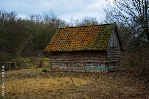 Hut in the forest