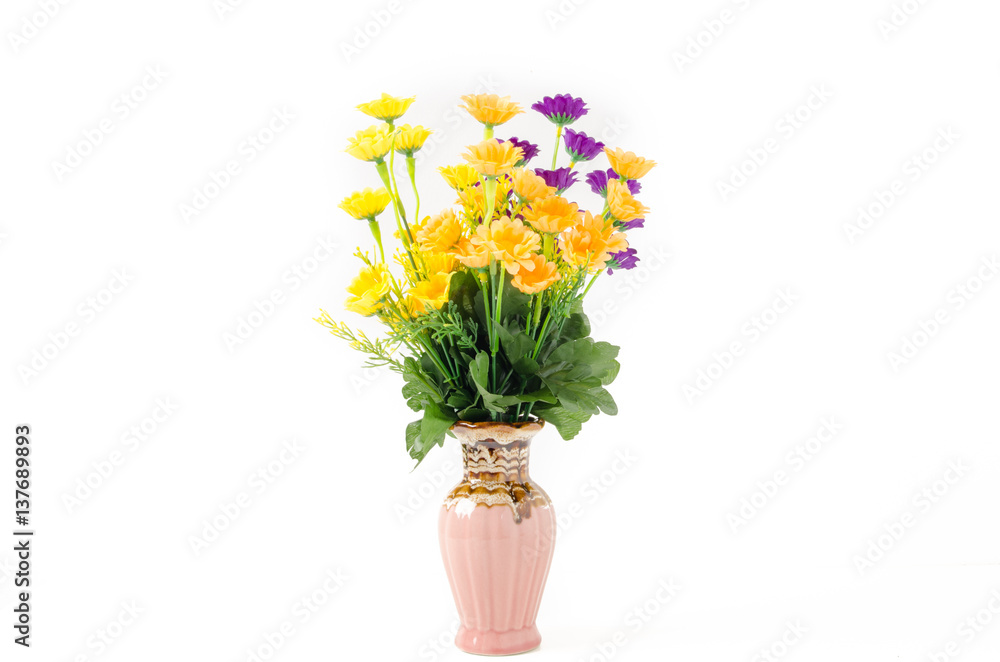 Colorful flower in the pot with white background. Colorful flower in the pot with white background.