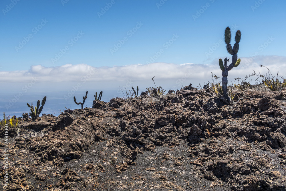 volcanic landscape at Sierra Negra at the Galapagos islands in Ecuador