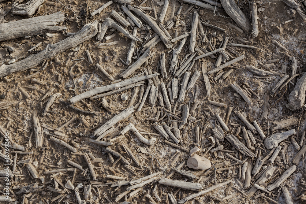 Earth covered with dry fallen pieces of wood sticks and twigs