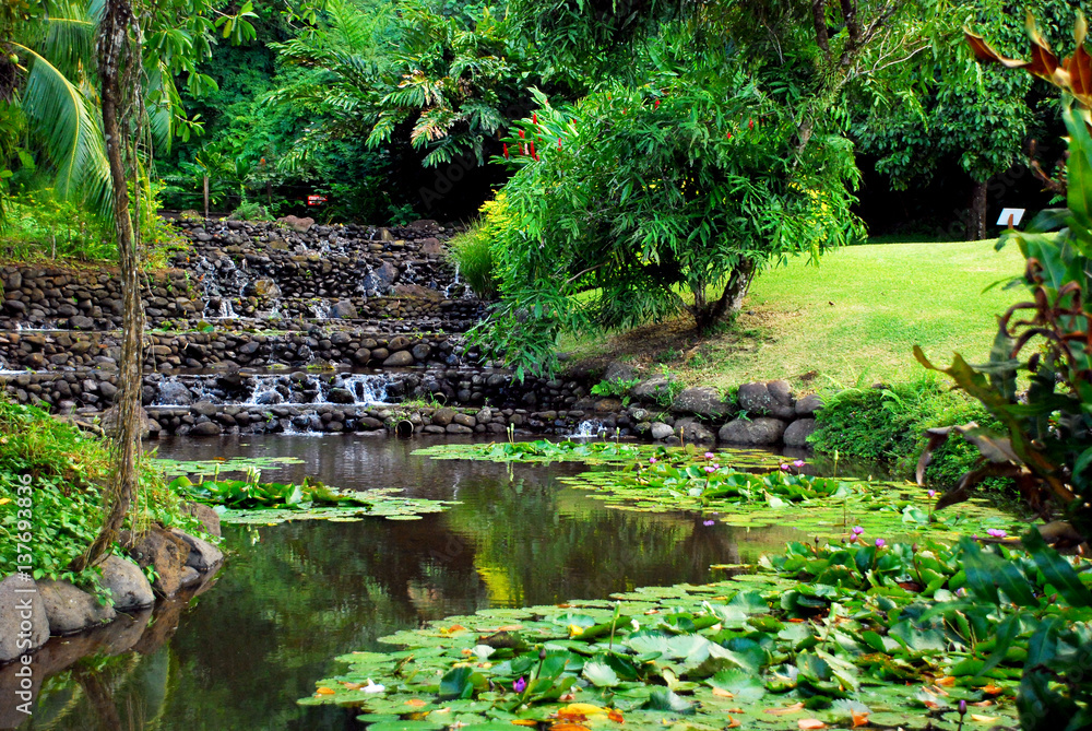 Lake in Vaipahi Domain, Tahiti, French Polynesia Lake in Vaipahi Domain, Tahiti, French Polynesia