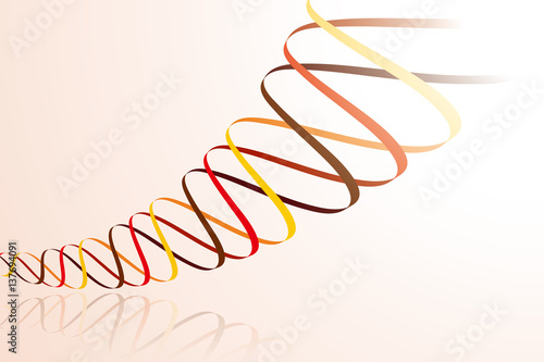 螺旋　デザイン