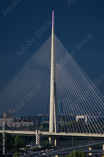 Cable bridge against dark blue sky in Belgrade, Serbia © banepetkovic