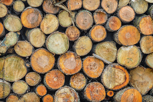 logs stacked in piles. background texture of wood